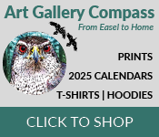 Art Gallery Compass