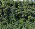 New Listing: 13717 Tow Hill Road