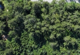 New Listing: 13717 Tow Hill Road
